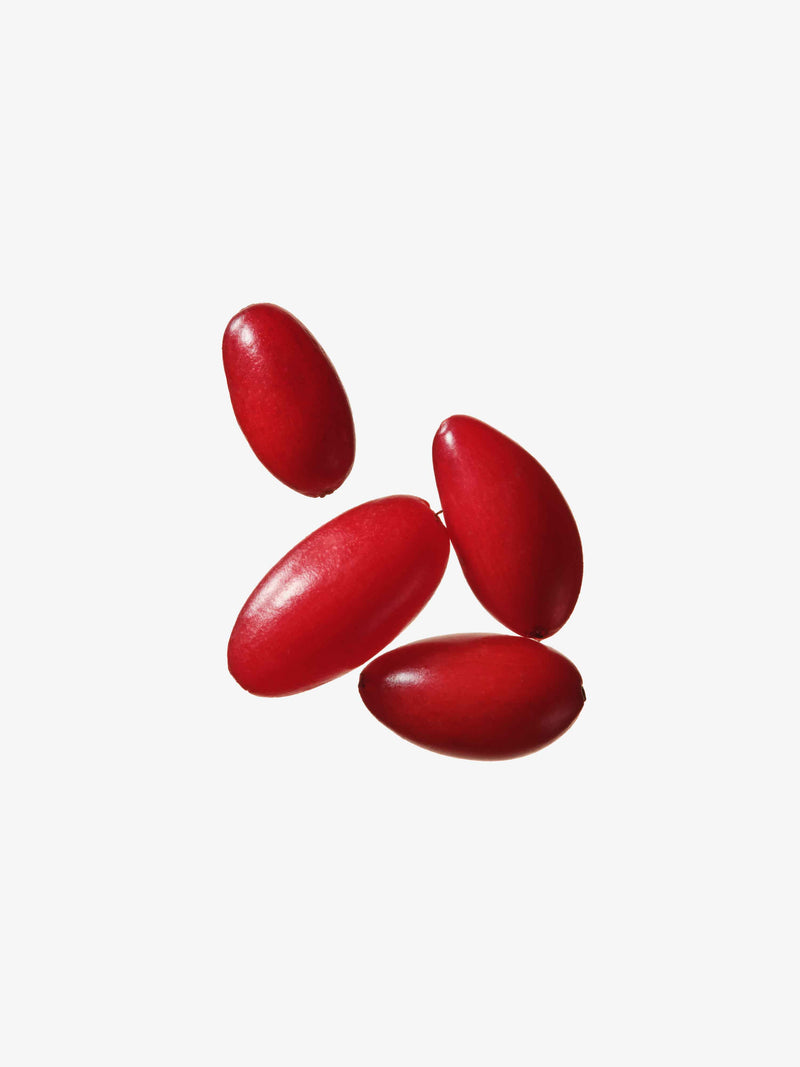 Bright red oval-shaped fruits of Cornus officinalis.