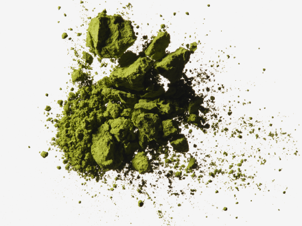 Green powdered Andrographolide spread across a clean white background.