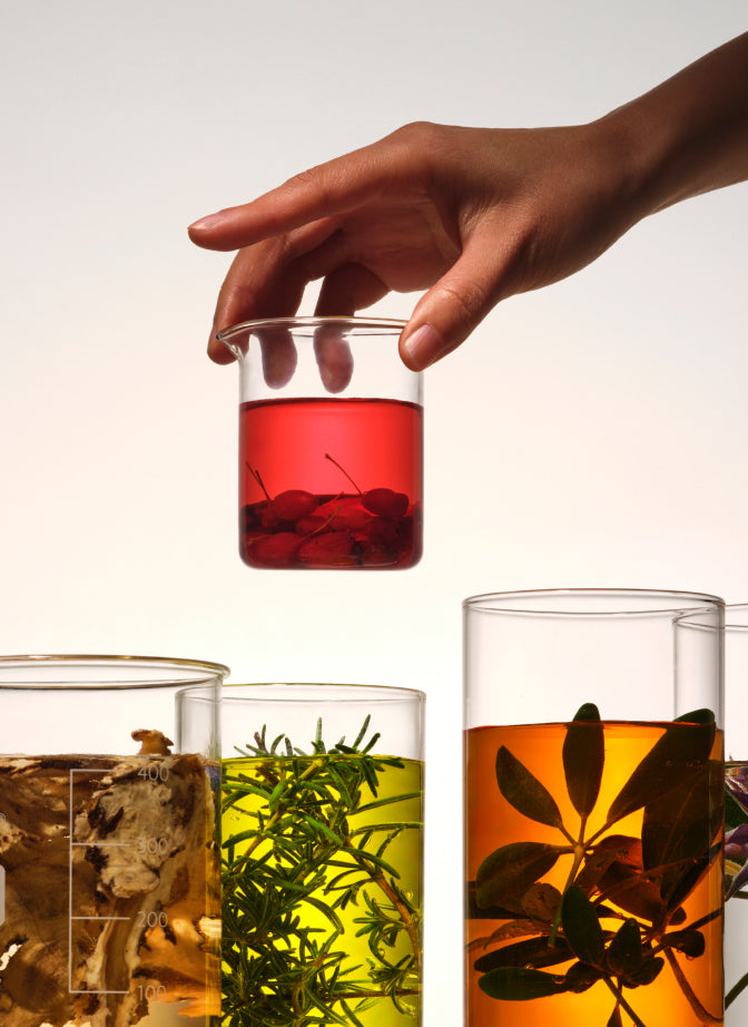 A hand carefully holding a small red beaker, symbolizing precise extraction techniques in botanical skincare research.