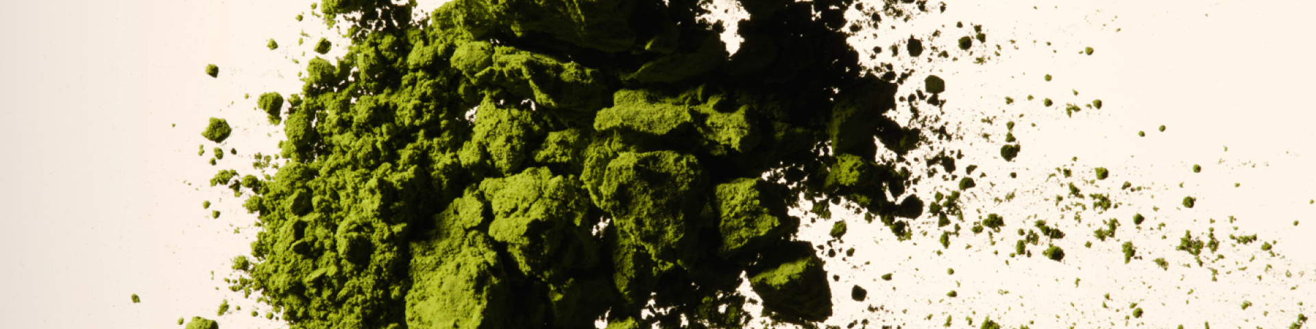 Close-up of vibrant green powdered botanical extract scattered across a white background.