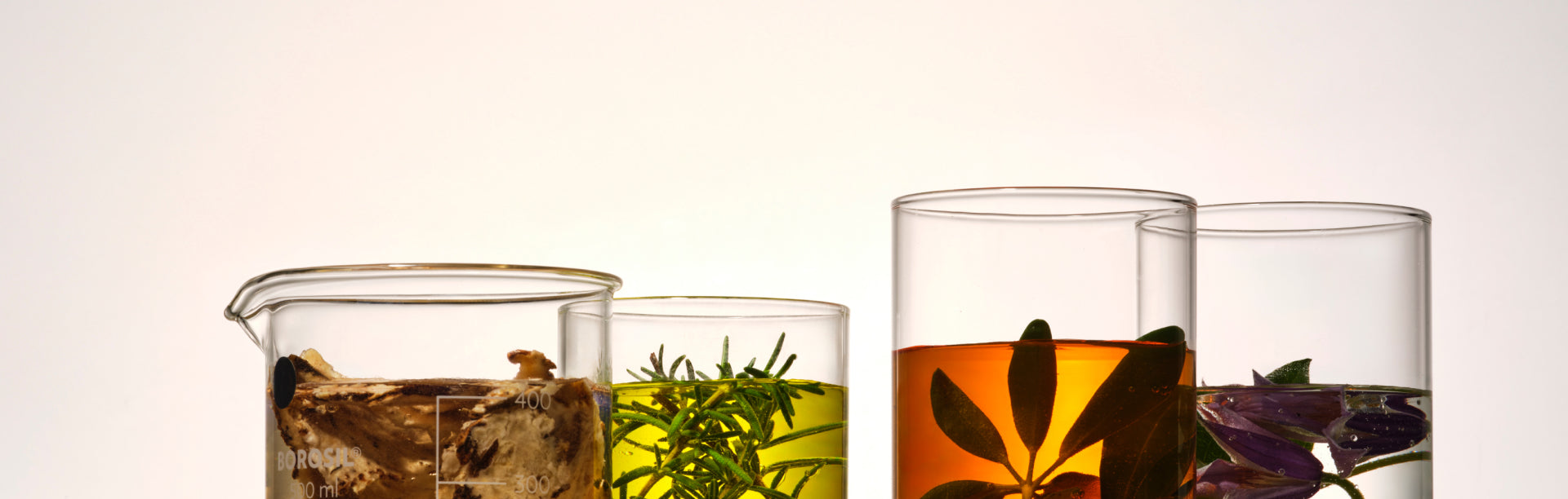 Various colored liquids and plant materials in clear glass containers. The phrases 'Our Beauty Botanic Garden' and 'THE WHOO'.